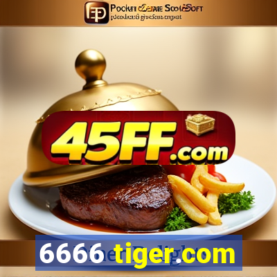 6666 tiger.com